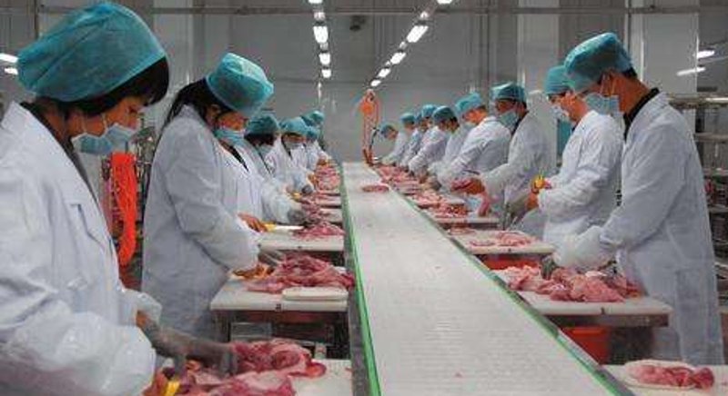 在当今互联网时代,拥有一个专业的食品公司网站变得尤为重要。